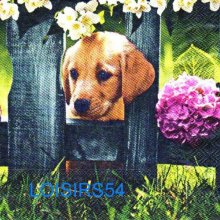 Serviette papier chien Basset - 33 cm x 33 cm